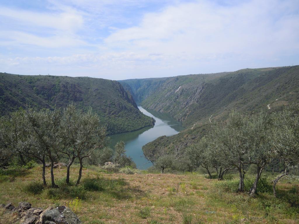 Hotel Rural Rinconada De Las Arribes Альдеадавила-де-ла-Рибера Экстерьер фото